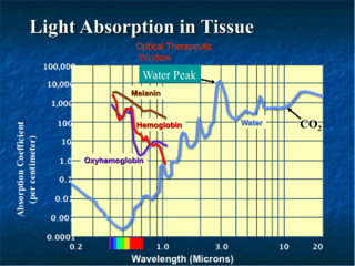 figure3.png