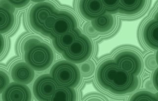 Cell_Growth_450x2912jpg.jpg